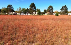 7386 W Cedar Drive, Irons, MI 49644