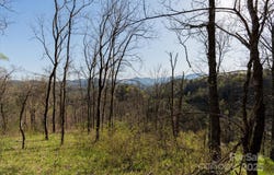 Sweetwater Road, Marshall, NC 28753