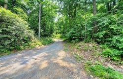 000 Green River Cove Road, Saluda, NC 28773