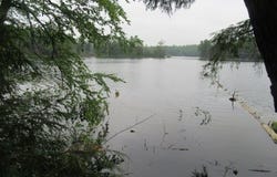 On ARBOR LN, WI 54538