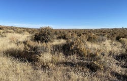 017050001 Harding Ave/ 17th St Avenue, Ryndon, NV 89801