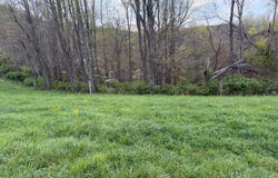 1999 Snake Run Rd, Alderson, WV 24910