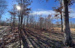Lot J McCartt Ridge Lane, Sunbright, TN 37872