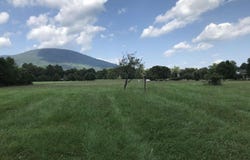 3 PHILLIPS LN, NELLYSFORD, VA 22958