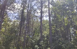 18000 AL Hwy 219, Marion, AL 36756