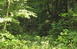 9693N Blue, Nisula, MI 49952