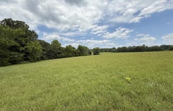 110 Thomasville Road, Buffalo, MO 65622