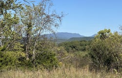 1356 Jayell Rd, Sevierville, TN 37862