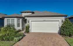 5835 SHOREBIRD Branch, LAND O LAKES, FL 34638