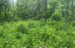 5025 Kolb Hollow Road, Climax Springs, MO 65324