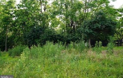 HAROLD DR, MARTINSBURG, WV 25403