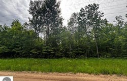 4856 Mancelona Road, Mancelona, MI 49659