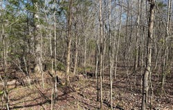 0 Seymore Rd, Nettleton, MS 38858