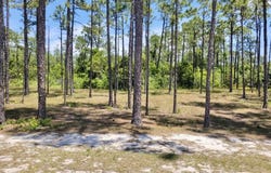 3066 Moss Hammock Wynd, Southport, NC 28461