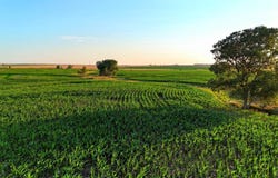 TBD 300th Ave, Nekoma, KS 67559