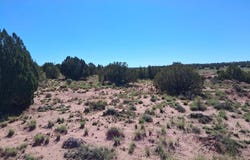 236 N9233 SE, Concho, AZ 85924