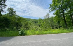 0 East Handsome Brook Rd., Franklin, NY 13775