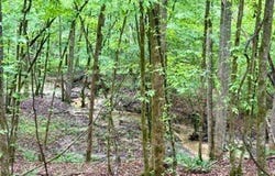 CR 265, BRUCE, MS 38915