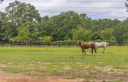 311 Walnut Lane, North Augusta, SC 29860