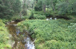 Augusta Road lot: 14, Washington, ME 04574