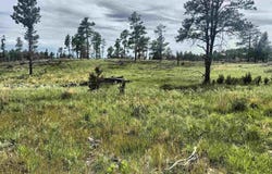 TBD Jenny Road, Hot Springs, SD 57747