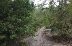 Easter Hollow Road, Ridgeview, WV 25169