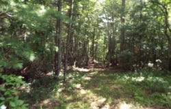 Bob Tollett Loop, Crossville, TN 38555