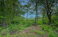 34 Maddox Pond Road Road, Biddeford, ME 04005