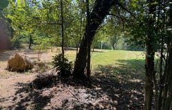 1005 SERO ESTATES DRIVE, FORT WASHINGTON, MD 20744