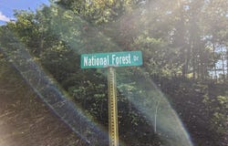 GRACE MOUNTAIN LANE, MILAM, WV 26838