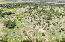 Tbd Lot 2 Boswell Court, Lipan, TX 76462
