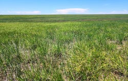E  56th Ave, Deer Trail, CO 80105
