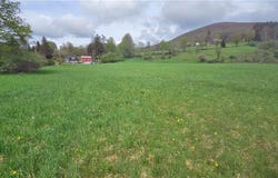 1375 Dimmick Mountain Road, Middletown, NY 12455