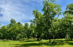 00 Berry Rd, Valley Grande, AL 36701