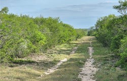 3073 Bravo 6, San Diego, TX 78384