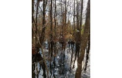 Kathwood Lane, Jackson, SC 29831