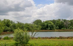 1277 Other, Floresville, TX 78114