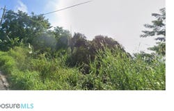 Jaguas, Gurabo, PR 00771