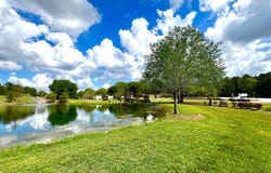 147 Twisted Oak Trail, Elloree, SC 29047