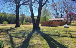 180 DAMRON, Counce, TN 38326-2807
