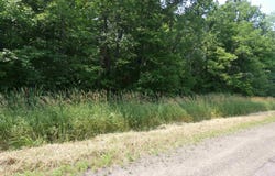 M-64 Highway, Marenisco, MI 49947