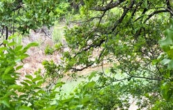 Shoreline Drive lot: 83, Cisco, TX 76437