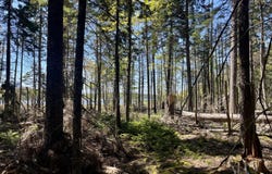 1572 State Highway 102, Bar Harbor, ME 04609