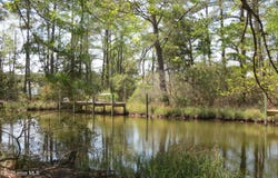 6009 Harbour Way, Oriental, NC 28571
