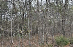 Parkview Dr., Amory, MS 38821