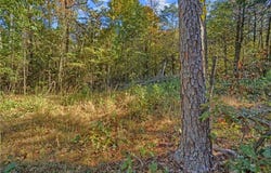 Lot 6 Melvin Lane, Dover, AR 72837