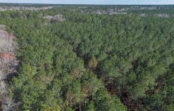 Ben Giddens Road lot: 4, Eastman, GA 31023
