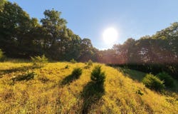 Foxden Drive Lot 4, Gainesville, MO 65655