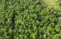 22751 County Road 1, Emily, MN 56447