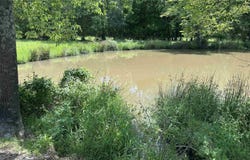 9.1 Ham Road, Athens, AL 35611